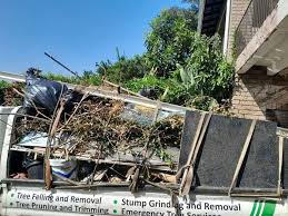 Best Residential Junk Removal  in Emerald Lake Hills, CA